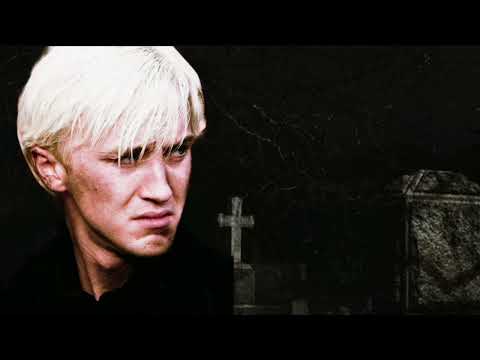 Видео: Фанфик~Драко и Гермиона/ Незабудки/ часть 1