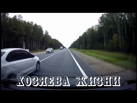 Видео: Хозяева жизни! Мне плевать на всех! Подборка на видеорегистратор! #14
