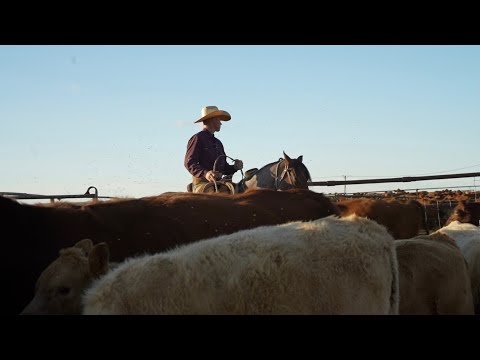 Видео: День отправки — день ОПЛАТЫ!