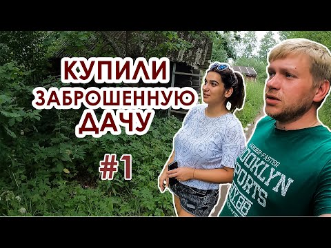 Видео: Купили заброшенную дачу #1. Это настоящий лес. Начинаем расчищать участок.