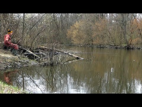 Видео: Рыбалка 3 апреля на поплавок на речке и ответы на вопросы без монтажа