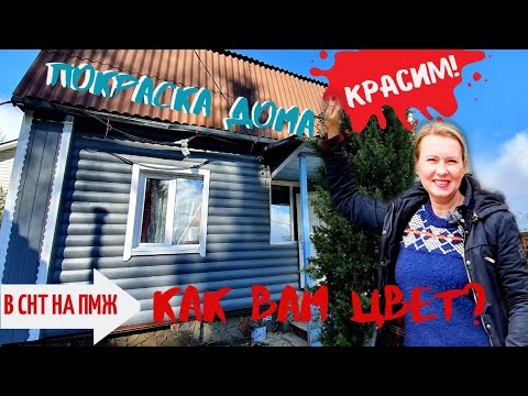 Видео: ДАЧА | Красим дом | Купили камень | Обустройство В СНТ НА ПМЖ №16