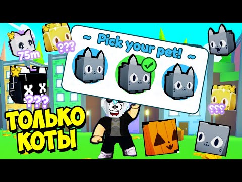 Видео: ШОК! ПРОХОЖУ ПЕТ СИМУЛЯТОР Х ИГРАЯ ТОЛЬКО КОТАМИ! ROBLOX Pet Simulator X