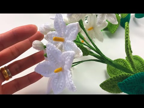 Видео: Вязание крючком Жасмин Соланум (Паслен)