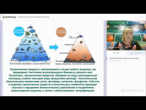 Видео: ЭМ-колобки. Как восстановить водоем, убрать мутность воды, избавиться от запахов и ряски?