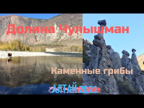 Видео: Автопутешествие Горный Алтай #5 . Кату-Ярык|ДолинаЧулышман|Каменные грибы #горныйалтай#горы