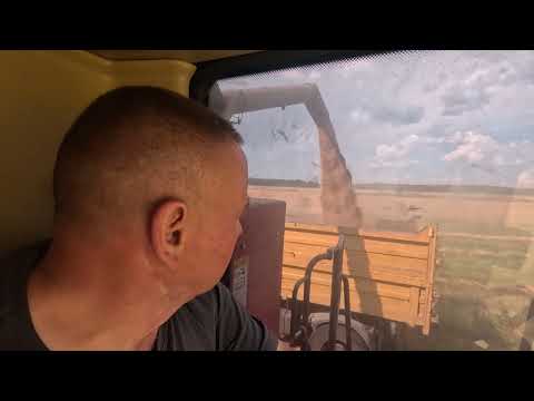 Видео: Утренний ремонт GS12A1 PRO, замена подшипника на домолоте и уборка зерновых