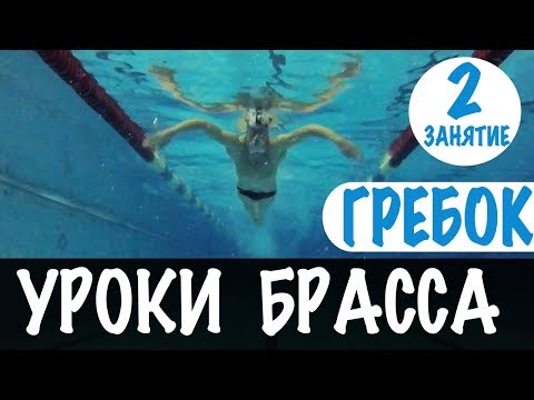 Видео: КАЖДЫЙ МОЖЕТ НАУЧИТЬСЯ ДЕЛАТЬ ГРЕБОК В БРАССЕ @SwimUpRu