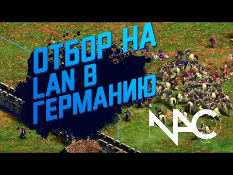 Видео: Попадут ли Винч и Даут на турнир за 50,000$ по Age of Empires 2