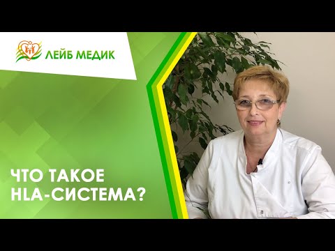 Видео: Что такое HLA система?