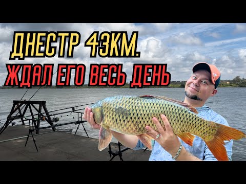 Видео: Днестр 43км. Ждал его весь день. Бешеные эмоции под конец рыбалки.14.09.24 #fishing #рыбалка #днестр