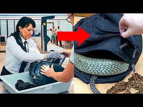 Видео: 10 Самых Странных Вещей, Найденных При Обыске в Аэропортах
