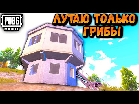 Видео: ЛУТАЮ ТОЛЬКО ГРИБЫ | ЧЕЛЕНДЖ ОТ ПОДПИСЧИКА ПУБГ МОБАЙЛ | PUBG Mobile