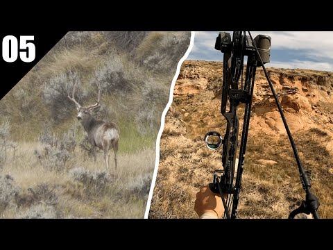 Видео: Охота на мула с луком! (Открытая местность и выслеживание) | 2025 EP.05