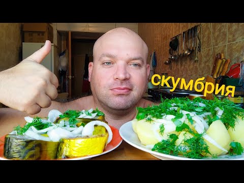 Видео: МУКБАНГ Скумбрия с картошкой/ОБЖОР рыбный