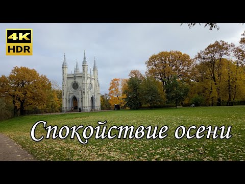 Видео: Осень в парке  "Александрия" Петергоф