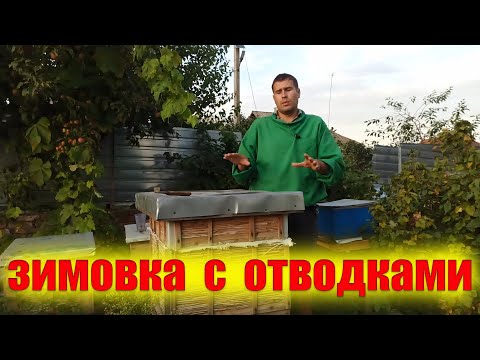 Видео: Зимовка с отводками. Оставлять или не оставлять отводки пчел в зиму на пасеке. Запасные матки