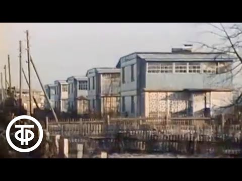 Видео: Строится Ивановская область. Время. Эфир 28 ноября 1984