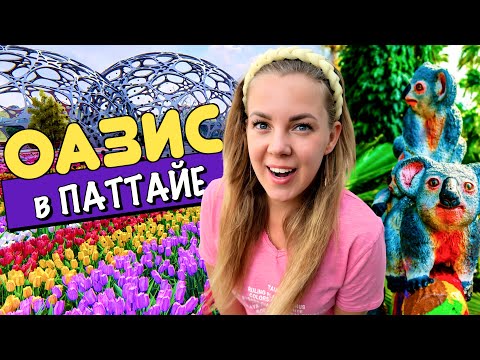 Видео: Неожиданная Паттайя. Цветы и тишина вместо шума и быстрого города.