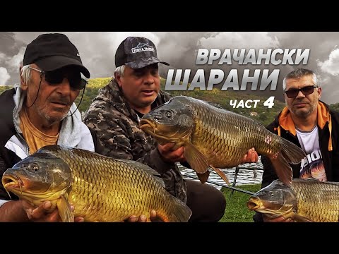 Видео: Мистерията на ДИВИТЕ ВРАЧАНСКИ ШАРАНИ -  4 част / Развръзката.../ Рибари ли гъбари ли?...