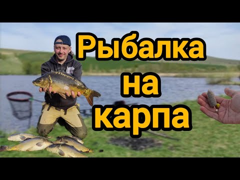 Видео: Рыбалка 2025 на карпа по холодной воде🎣 Карпу нравится жёлтый цвет🟡 #рыбалка #fishing #carpfishing