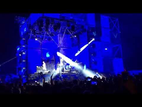 Видео: Пошлая Молли faces&laces