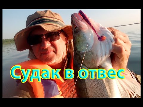 Видео: Ловля  в отвес судака и не только.  Методика, снасти, фрагменты рыбалок.