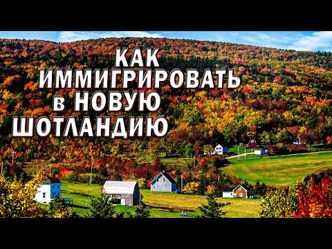 Видео: Как уехать? Пошаговая инструкция.