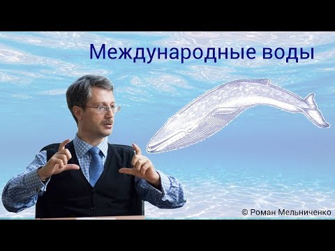 Видео: Международные воды