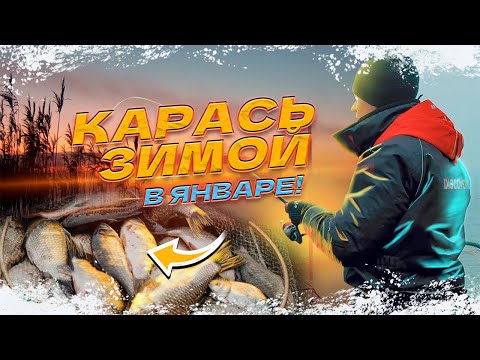 Видео: Зимняя рыбалка на КАРАСЯ в БЕЛАРУСИ! КАРАСЬ В ЯНВАРЕ КЛЮЕТ НА 2 УДОЧКИ СРАЗУ!