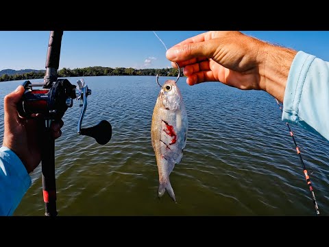 Видео: Я отправился в дрейф по середине реки Теннесси