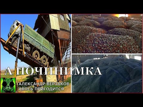Видео: Началось в колхозе утро 3/68. Принимаем с поля урожай лука и подсолнечника.