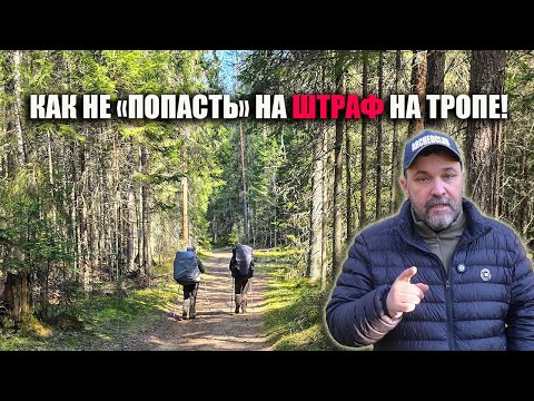 Видео: Как избежать штрафа на маршруте: разбираем новые ограничения