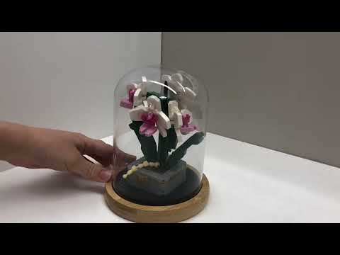 Видео: С 8 марта. Набор Wisehawk Орхидея 460 Orchid Flower Series 2798