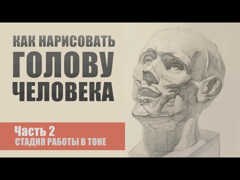 Видео: Как нарисовать голову. Часть вторая - стадия работы в тоне.