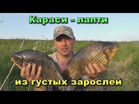 Видео: Приехал ПОСМОТРЕТЬ, а там...! КАРАСИ больше КИЛО сами вешаются на КРЮЧОК. Сделал РЫБАЛКУ за 30 минут