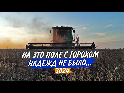 Видео: Справедливая УБОРКА "зеленого горошка" на двух КОМБАЙНАХ John Deere и РСМ-161.