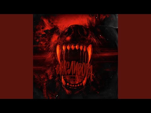 Видео: БАЗА