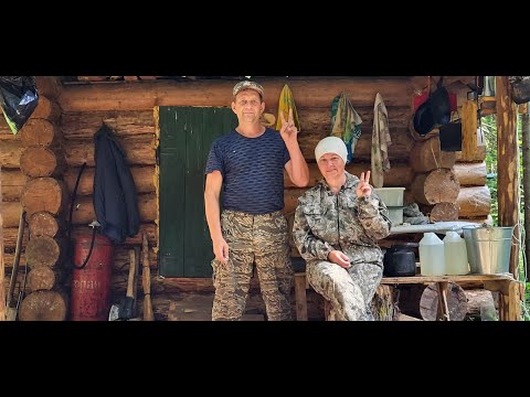 Видео: Наши ТАЁЖНЫЕ приключения! Трудная дорога к ЗИМОВЬЮ! Первая встреча! Лесная жизнь таёжников! 1 часть.