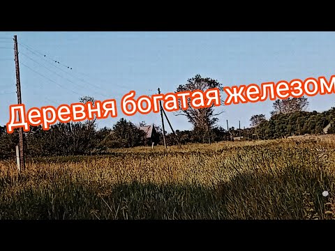 Видео: Разведка по металлу дала результат.Рек металл## топ ##