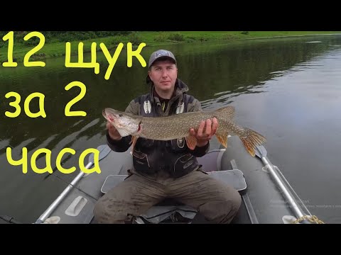 Видео: Рыбалка на Томи | 12 щук за 2 часа забили кукан