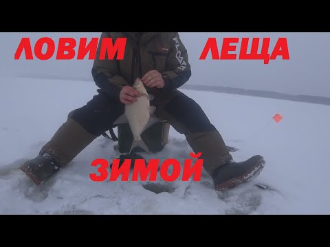 Видео: ЛОВЛЯ ЛЕЩА ЗИМОЙ. МОЖАЙСКОЕ ВОДОХРАНИЛИЩЕ