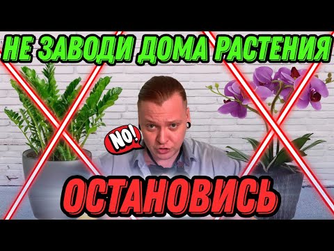 Видео: НЕ ЗАВОДИ РАСТЕНИЯ ДОМА, ПОКА НЕ ПОСМОТРИШЬ ЭТО ВИДЕО.