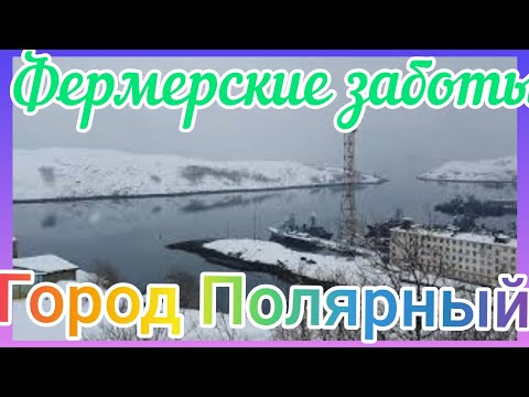 Видео: Колыбель северного флота// Моя родина // город Полярный //