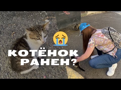 Видео: VLOG: Спасаем бедного маленького котёнка