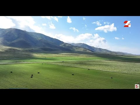 Видео: Тірі аңыз, тарихи орда – Торғай | Дархан дала