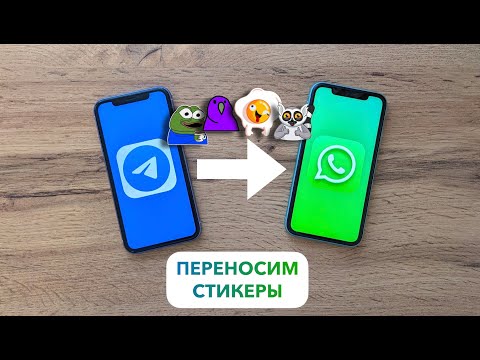 Видео: Как добавить СТИКЕРЫ из Telegram в WhatsApp на Android — пара минут и готово 👌