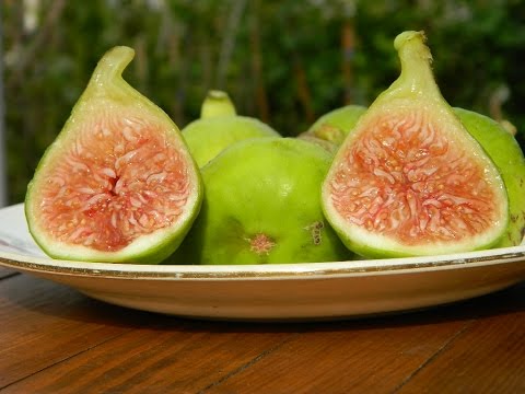 Видео: Инжир. Сезон 2016. Часть 1  (Figs. Season 2016. Part 1)