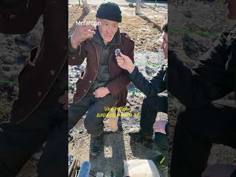 Видео: Хүний идэж байгаа хоолноос гуйж үзлээ.Мөнгө бас гуйж үзлээ өгсөн болов уу?