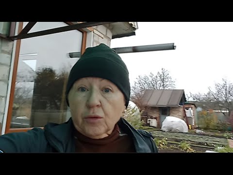 Видео: Проверка на прочность: выдержали ли укрытия для цветов первый ураган. 